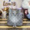 [LOUIS VUITTON-루이비통] 네오노에 BB