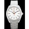 [OMEGA-오메가] Seamaster-씨마스터 아쿠아테라  220.10.41.21.02.001