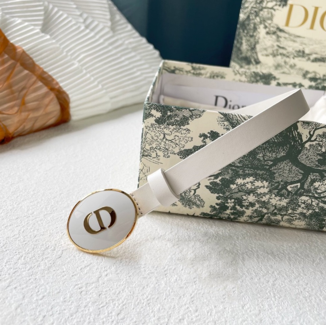 [DIOR-디올] 테디 벨트