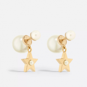 [DIOR-디올] Lucky Dior 귀걸이
