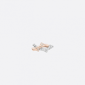 [DIOR-디올] 보이스 드 로즈 귀걸이
