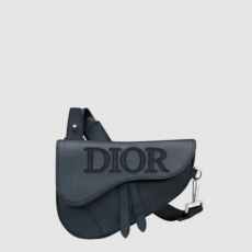[CHRISTIAN DIOR-디올]  새들백