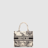 [DIOR-디올] 북 토트백 스몰