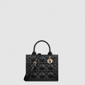 [DIOR-디올]  북 토트백 까나쥬 스몰