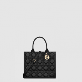 [DIOR-디올] 북 토트백 미디움